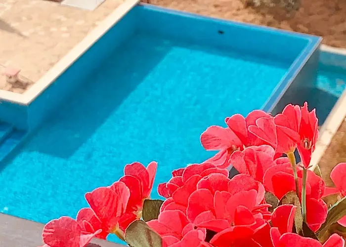 Apartament студия мир авангарда