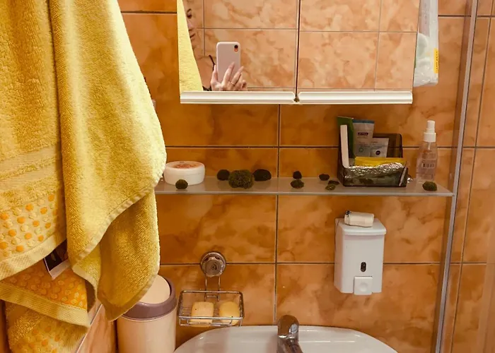 студия мир авангарда *