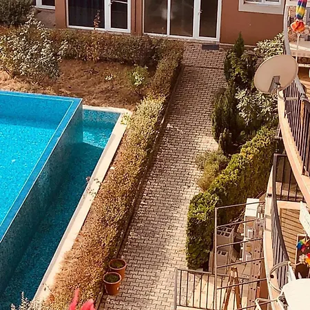 студия мир авангарда *