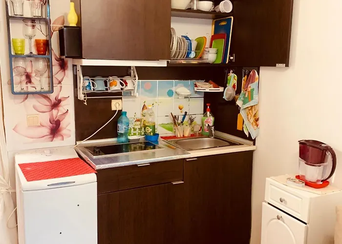 студия мир авангарда Appartement Slantchev Briag